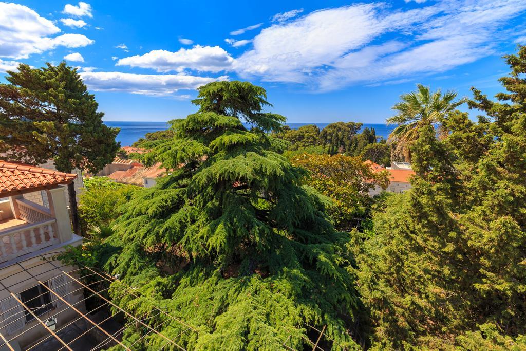 Hedera Estate, House Hedera V Villa Dubrovnik Ngoại thất bức ảnh