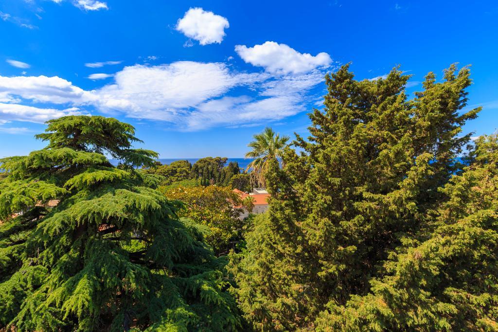 Hedera Estate, House Hedera V Villa Dubrovnik Ngoại thất bức ảnh